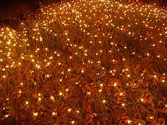 042 Toledo Zoo Light Show [2008 Dec 27]
